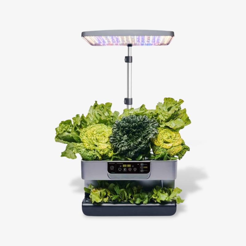 iFarm Smart Garden Grey - Lettuce Seed Included