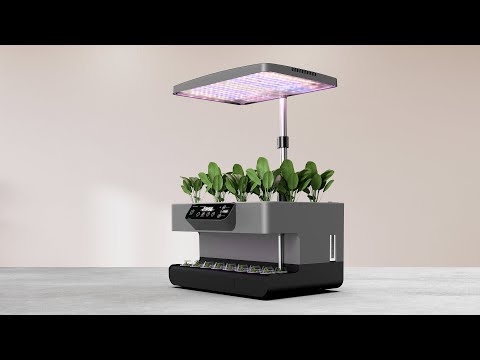 
                  
                    Load and play video in Gallery viewer, iFarm Smart Garden Grey - Lettuce Seed Included
                  
                